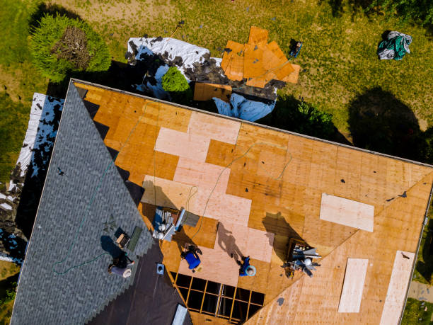 Best Flat Roof Repair Services  in Bertville, AL