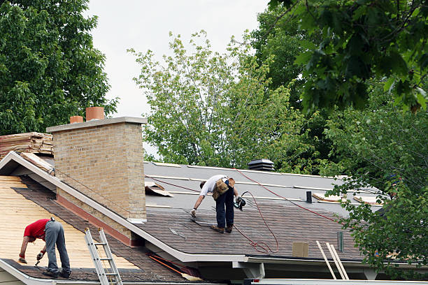 Best Residential Roofing Contractor  in Bertville, AL