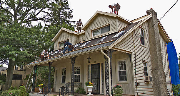 Best Metal Roofing Contractor  in Bertville, AL