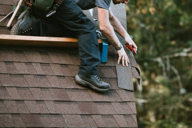 Gutter Installation and Roofing in Albertville, AL