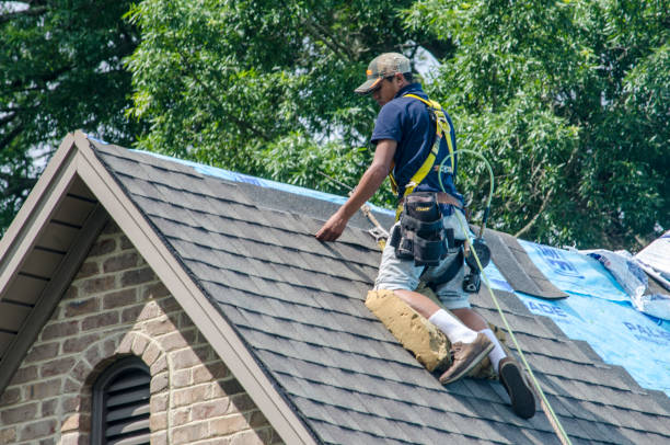 Professional Roofing Contractor in Albertville, AL